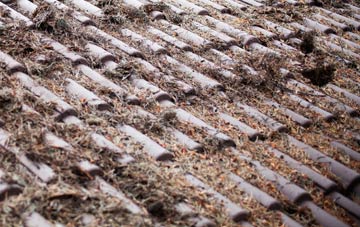 Hearthstone roof cleaning companies